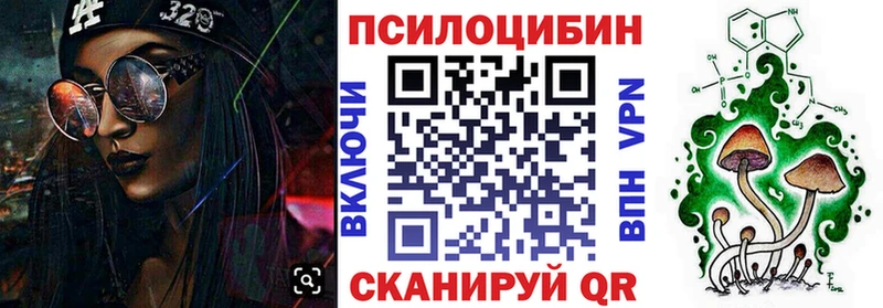 Галлюциногенные грибы Psilocybe  Нарткала 